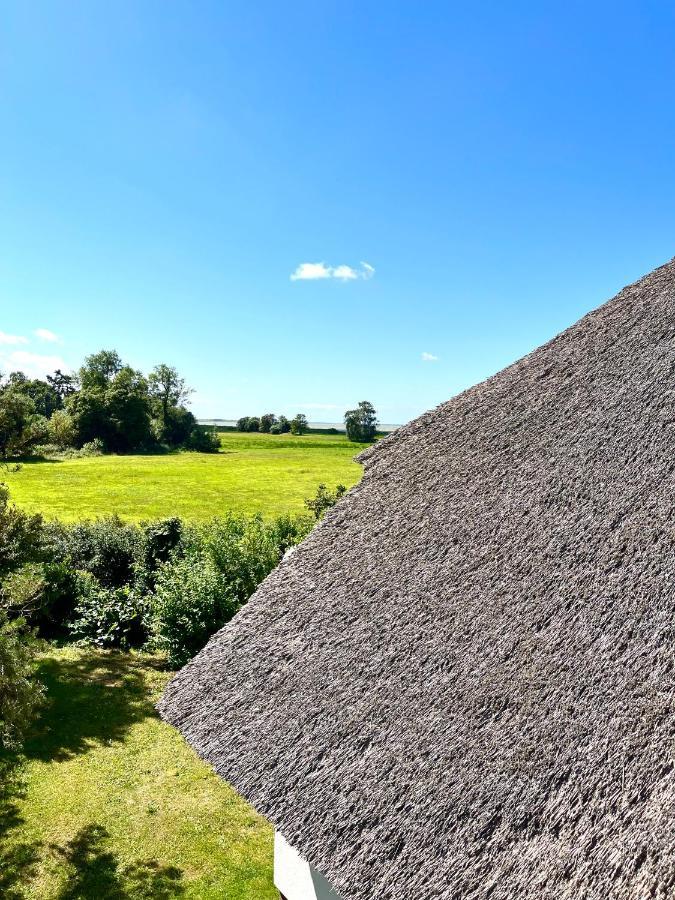 Zur Alten Boddenfischerei Ferienwohnung Heidezauber Neuendorf Heide Zewnętrze zdjęcie